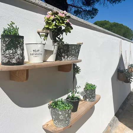 Olivea Luxury