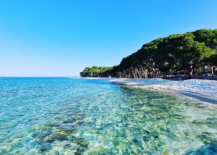 Olivea Luxury Lägenhet