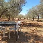 Olivea Luxury