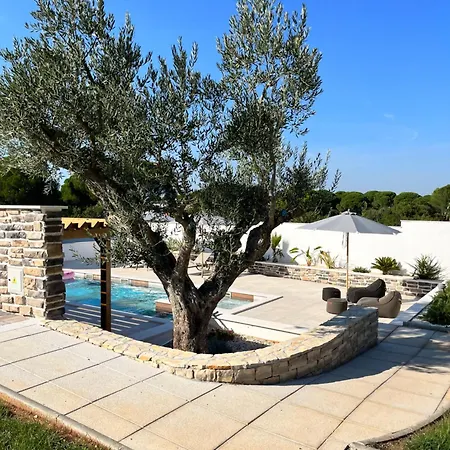 Olivea Luxury شقة