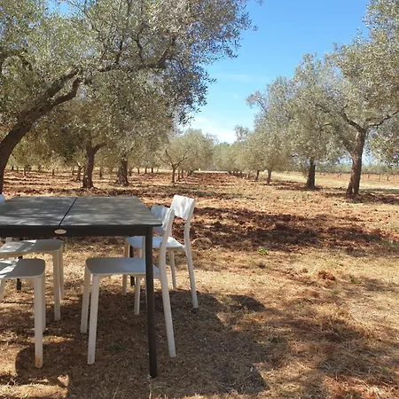 Olivea Luxury